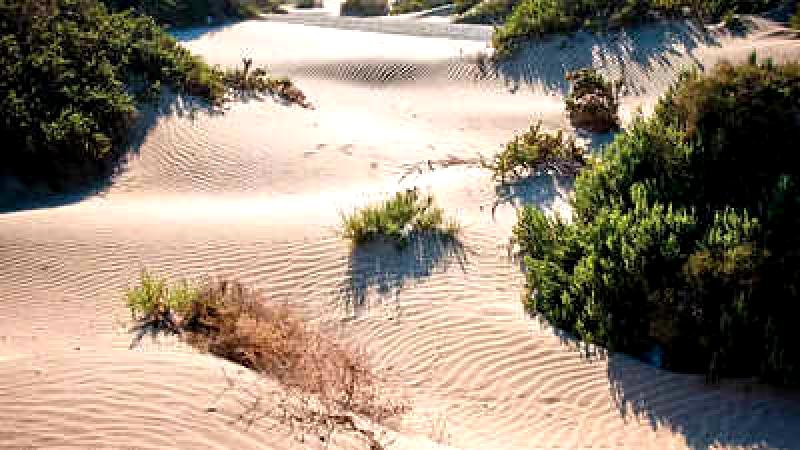 Sand Dune Destinations Tailored to Each Zodiac Sign: Commemorating World Sand Dune Day