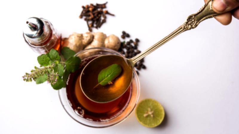 How Tulsi Infused Herbal Drink Can Support You During the Rainy Season