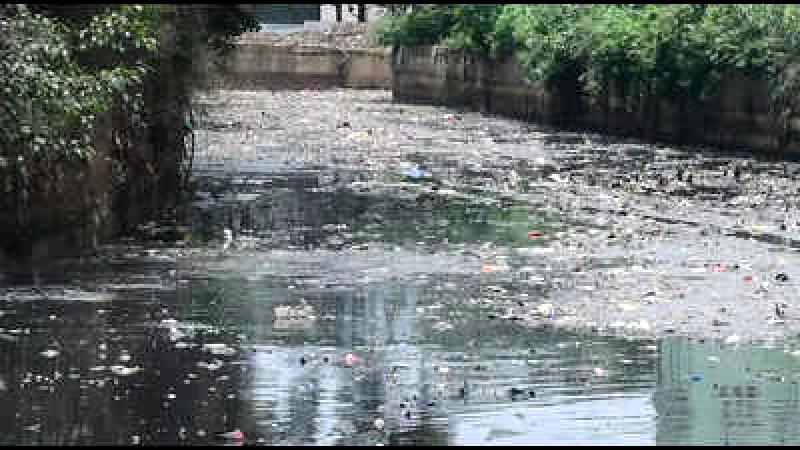 The civic authority reports that sewage discharge into Koramangala valley reduced to 8 MLD