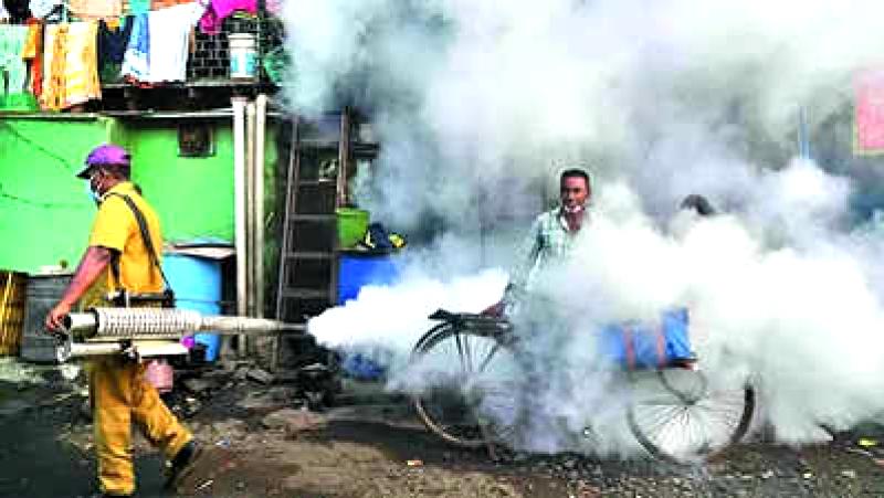 Maharashtra to monitor for virus changes during chikungunya outbreak