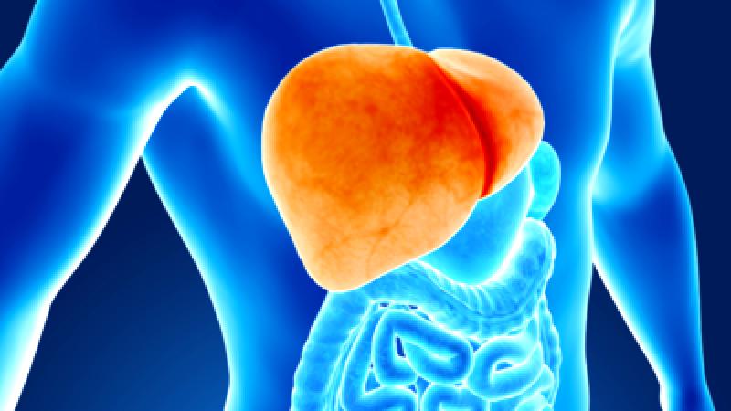 Tips to Reverse Fatty Liver in Young Adults: 5 Practical Strategies