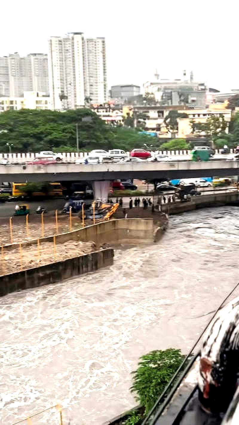 Abandoned vehicles, strong odor linger after recent rainfall: Sangeetha Sringeri